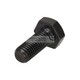 ZESKANTBOUT M10X25-8.8-MAN183-
